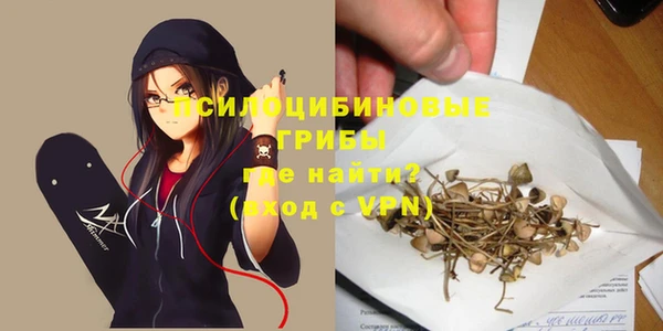 хмурый Горнозаводск