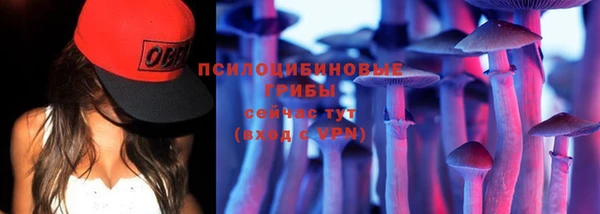 хмурый Горнозаводск