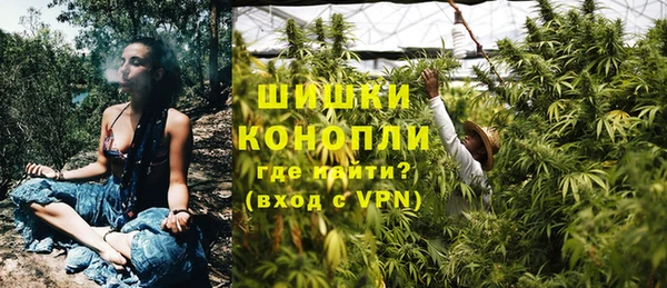 гидра Гусев