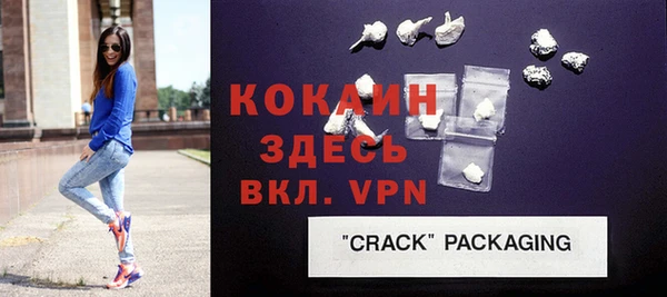 гидра Гусев