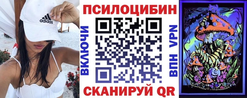 Галлюциногенные грибы Psilocybe  Купить  Талица 
